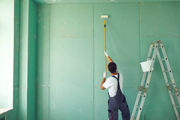 Best Basement Mold Removal  in Parrish, AL