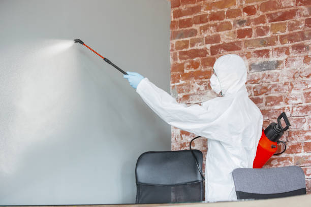 Best Forensic Mold Investigation  in Parrish, AL