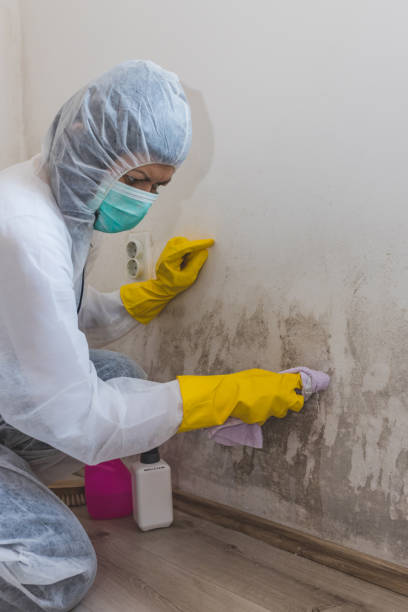 Best Industrial Mold Remediation  in Parrish, AL