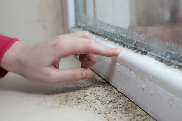 Best Biohazard Mold Removal  in Parrish, AL